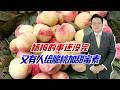 杨梅风波未平脆桃又翻车!黑心商贩乱加甜蜜素,产地声誉再遭冲击