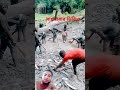 মাছ ধরার ভিডিও