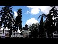 Show de marionete in Ploiesti, parcul I.L.Caragiale, sustinut de Bence Sarkadi, Ungaria, time lapse