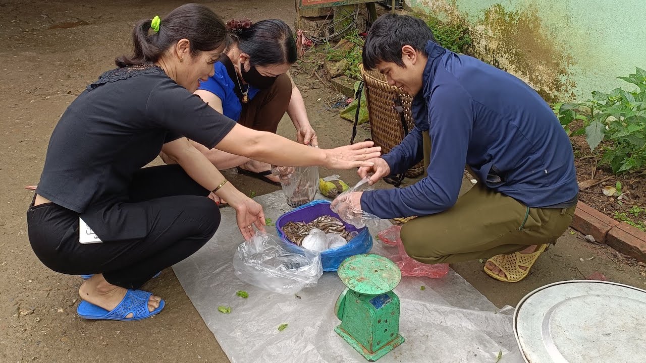 Gardening, harvesting green vegetables, selling stream fish to the market