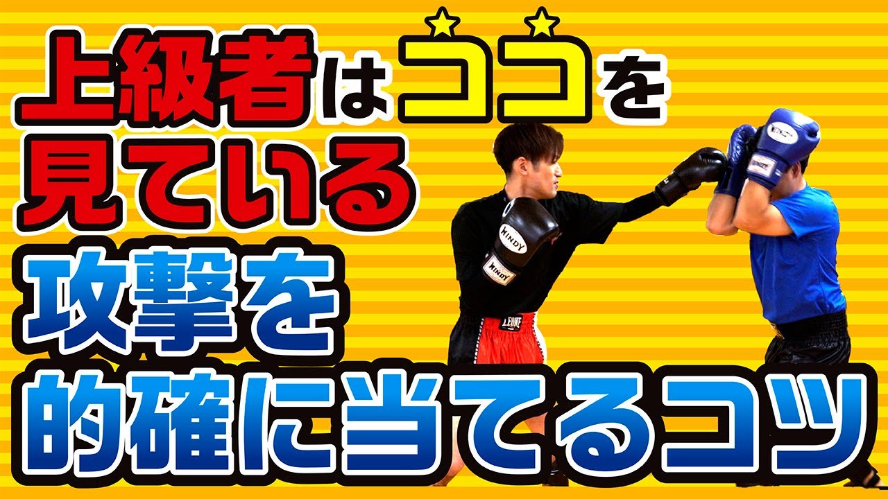 【スパーリング上級者】上級者はここを見ている！攻撃を的確に当てるコツ〜中級者初心者必見です〜