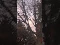 “Beautiful Sunset” #trees #sun #sky