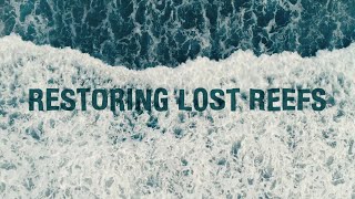 Restoring Lost Reefs | How Scientists Are Rebuilding the Ocean