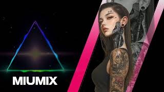 Remix  alan Walker  Well Never Know   New Song 2024 bass Boosted
