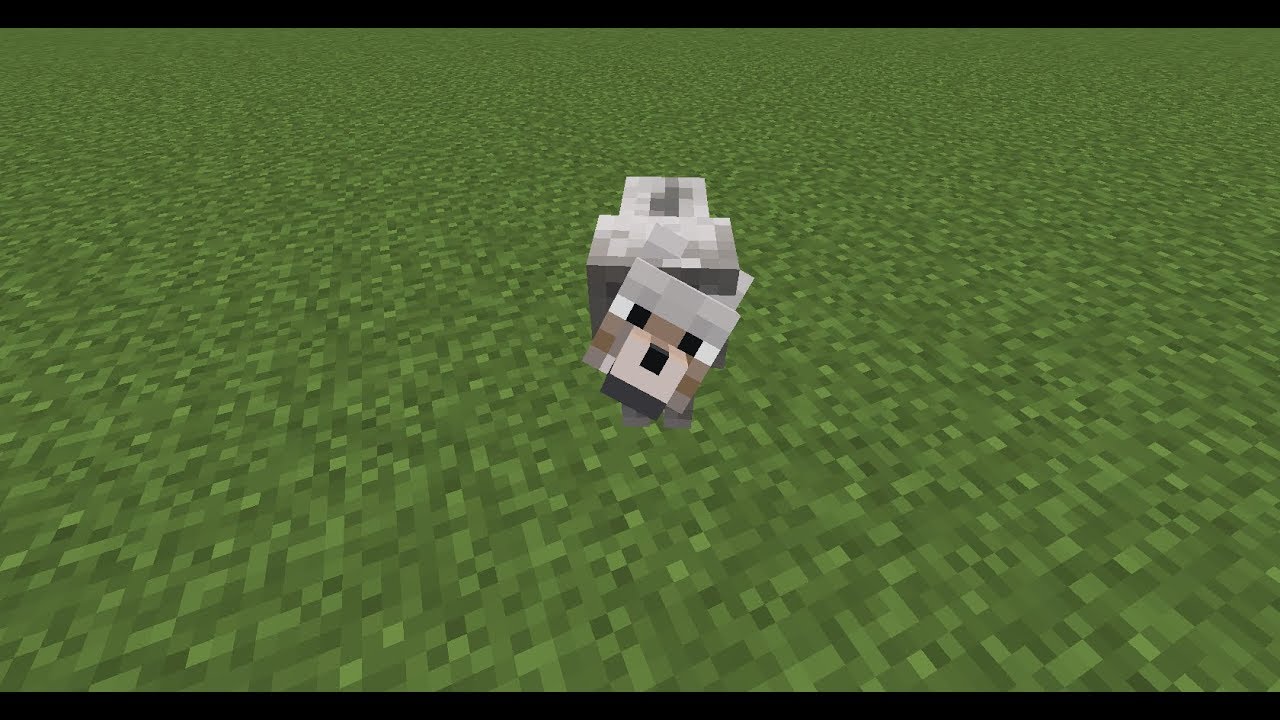 Tuto Minecraft COMMENT APPRIVOISER UN CHIEN - YouTube