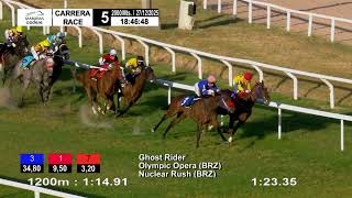 Vidéo de la course PMU PREMIO BERLI PLATERO (2005)