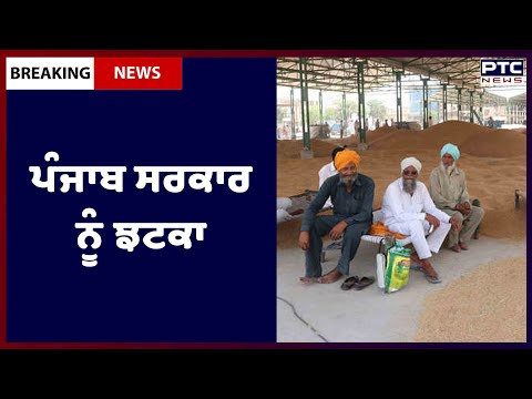 Punjab Govt Wheat Procurement: ਕਣਕ ਦੀ ਜਾਰੀ ਖਰੀਦ ਵਿਚਾਲ਼ੇ ਪੰਜਾਬ ਸਰਕਾਰ ਨੂੰ ਝਟਕਾ