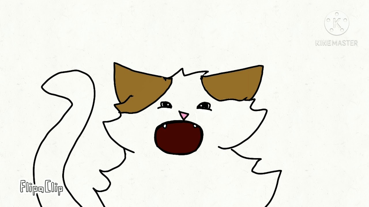 Pop cat but it's animated also keep your volume down ;)