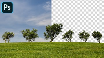 Photoshop Tutorial | How to Cut Out a Tree in Photoshop