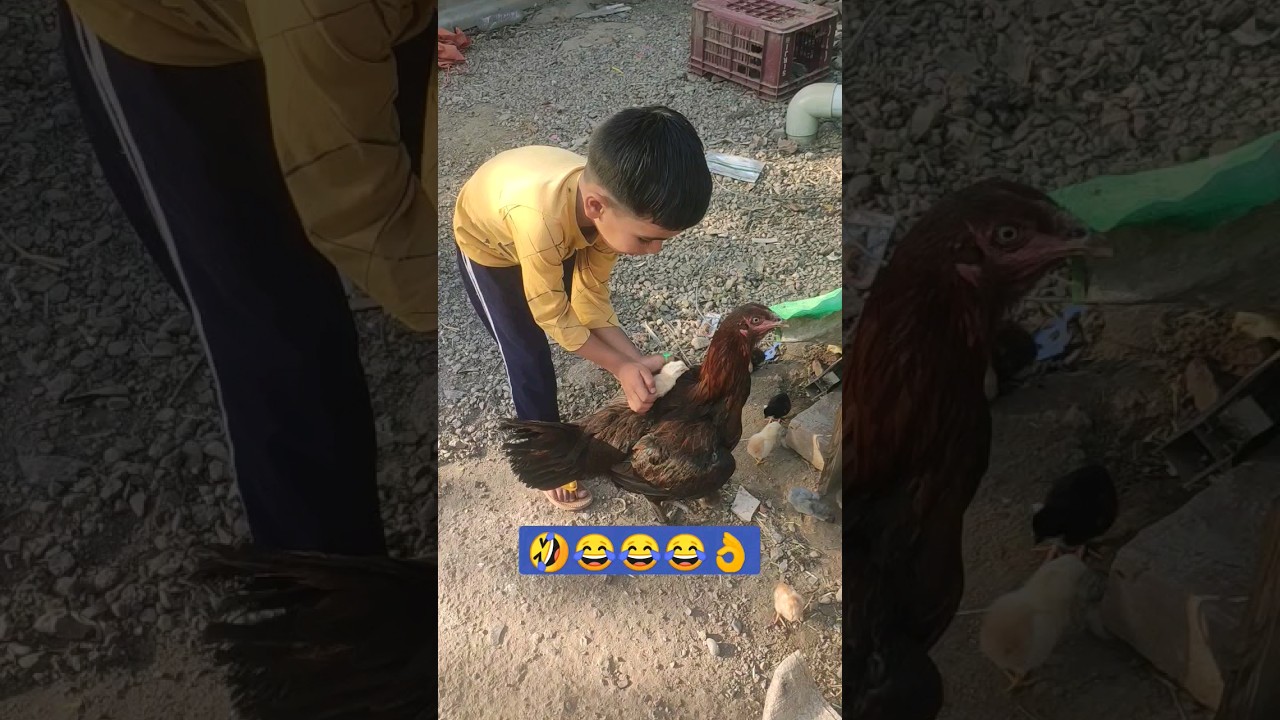 so funny moment 😅😅🤣💯✅