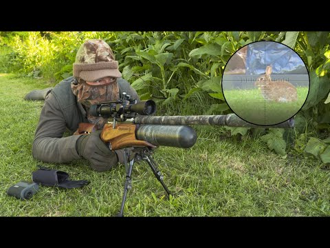 the-airgun-show-–-garden-rabbit-hunt,-plus-the-fx-impact-mk2-compact…
