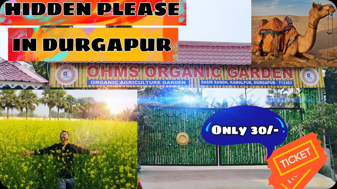 Durgapur Best Picnic Spot 2025 | এখানে অনেক ধরনের Adventure & Activity আছে | Ohms Organic Graden