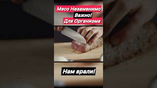 Польза мяса для организма! Биохакинг питания! Что содержит говядина?