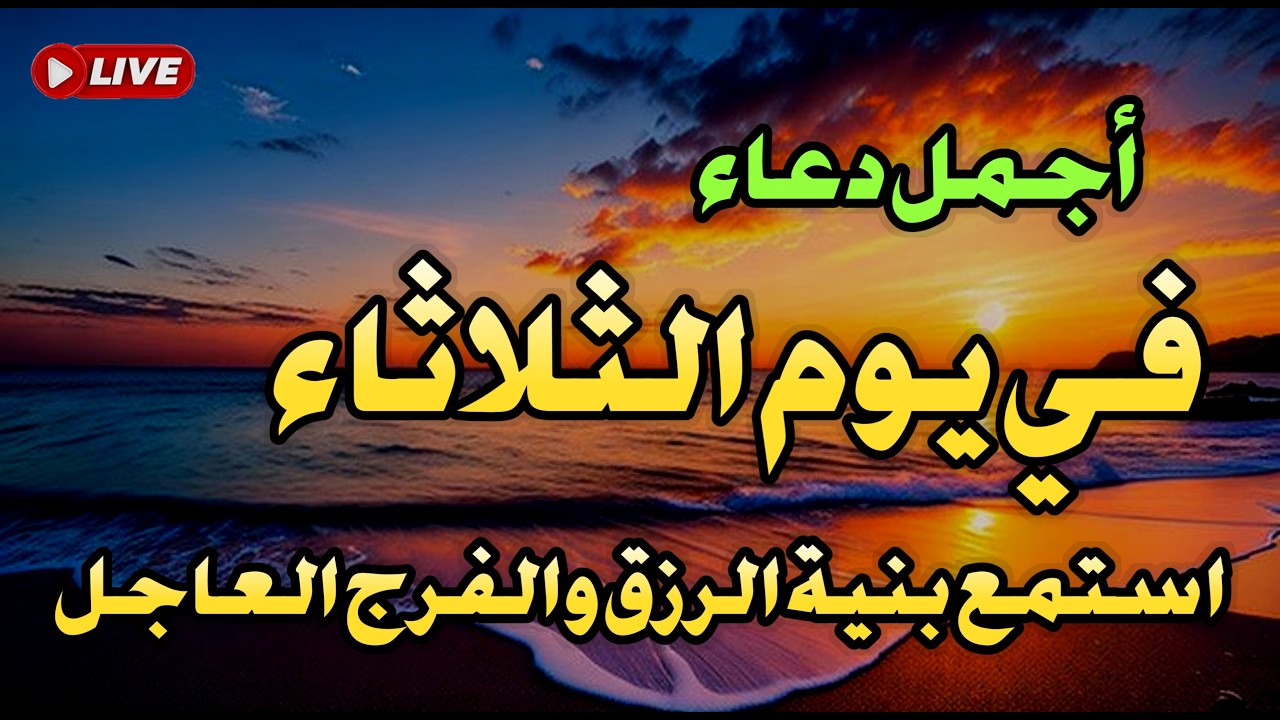 قراءة مؤثرة دورة واحدة قد تجلب لك الثروة