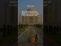 Abu Dawud, Hadith: 3722, Medicine (Kitab Al-Tibb)