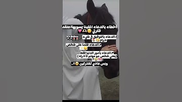 قران كريم #اكسبلور #لايك #اعتني #المصحف #ترند #الحياني #تيك_توك