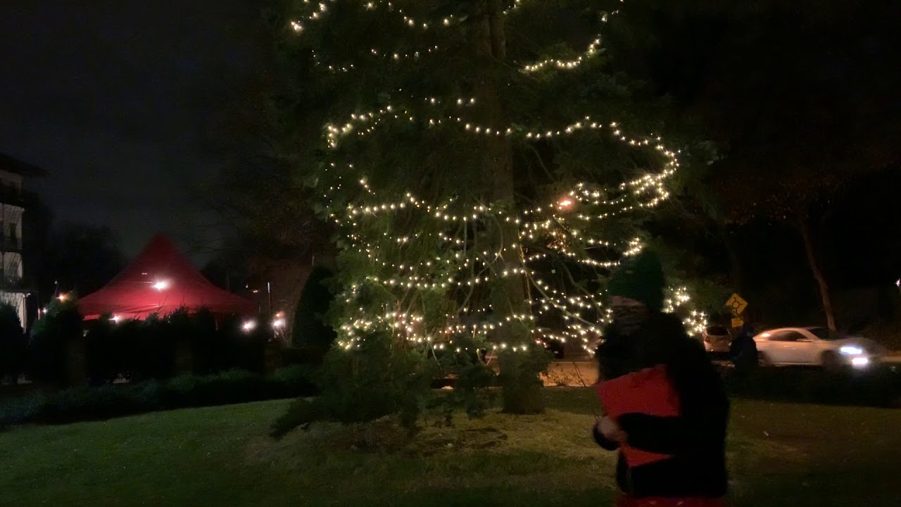 Blessed Sacrament Tree Lighting YouTube