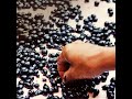 WSET Level 3 in Wines Preview Sample Pack