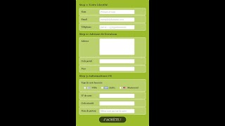 Information Formation en HTML  :  Les formulaires en HTML 2/3 How To Create A Website Using HTML Guide