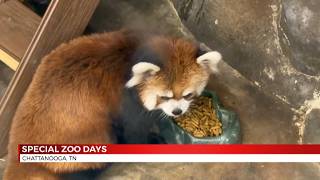 Are You Wild?: New Special Zoo Days