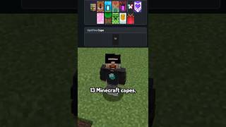Ranking EVERY Minecraft Cape I Own...