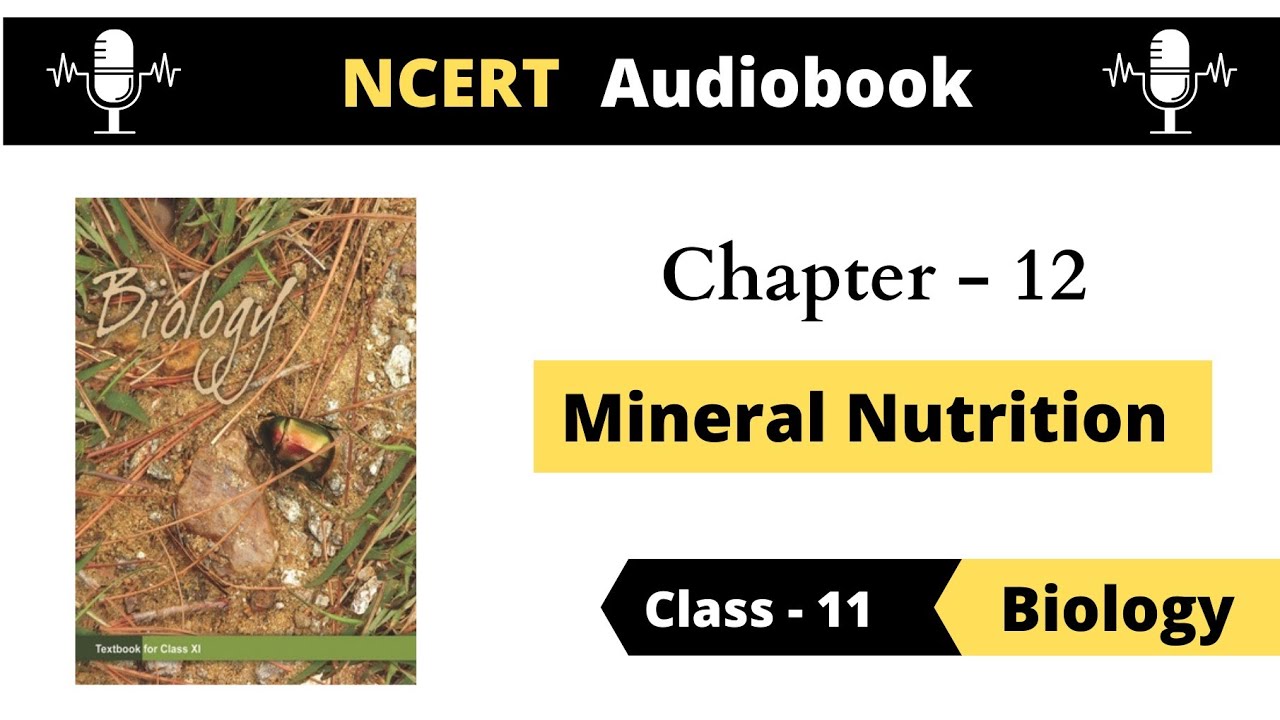 Mineral Nutrition NCERT Audiobook Class 11 Biology Chapter 12 Plant Physiology NEET2022