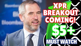 Will the Ripple XRP Secrets Be Revealed? The SEC Is Going to Win in Remedies?