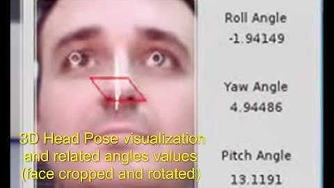 3D Head Pose Estimation