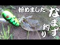 突然ですが【ナマズのルアー釣り】はじめました。トップウォータープラグで日本古来のフィッシュイーターナマズを釣る！これはのめり込む価値アリ！