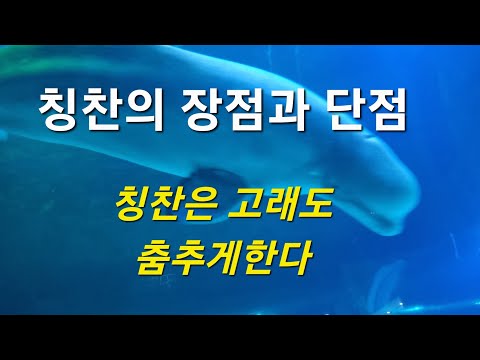칭찬의 장점과 단점 | 마음벗 스토리텔링 | 인정 | 열정 | 칭찬