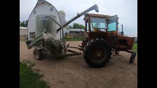 grinding corn, cattle feed