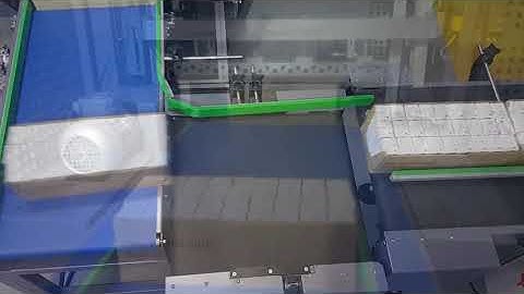 Maripak USA - MULTIMAC " D " 60 - PE Sealer / PE Shrink Bundling Packaging Machine