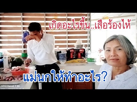 ผลสลากกินแบ่งรัฐบาล วันที่ 1 พย. 2567 ผลสลากกินแบ่งรัฐบาล วันที่ 1 พย. 2567