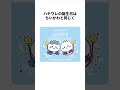 【相棒】ハチワレに関する面白い雑学