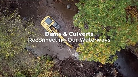 Dams & Culverts: Reconnecting Our Waterways