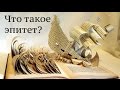 Что такое эпитет? [Лекции по литературе]