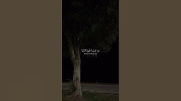 سورة العنكبوت / القارئ ياسر الدوسري #العنكبوت #قرآن #قران_كريم
