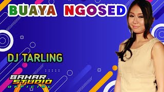 BUAYA NGOSED - WULAN // DJ TARLING REMIX