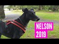 Memories of Nelson 2019