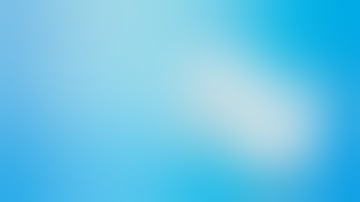 Обзор Projecto — всё для управления проектами и сотрудниками в одной системе