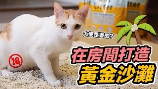 在房間打造黃金沙灘『大便是香的？』