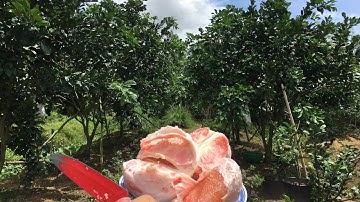 Bưởi Ruby Thái Lan |Bình Tân Vĩnh Long -0919705120-0986868808