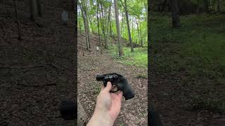 Ruger LCR .22 LR Snub Shoots Better than Me!