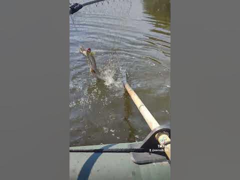Щука на Джексон Карась #зновуриболовля - YouTube