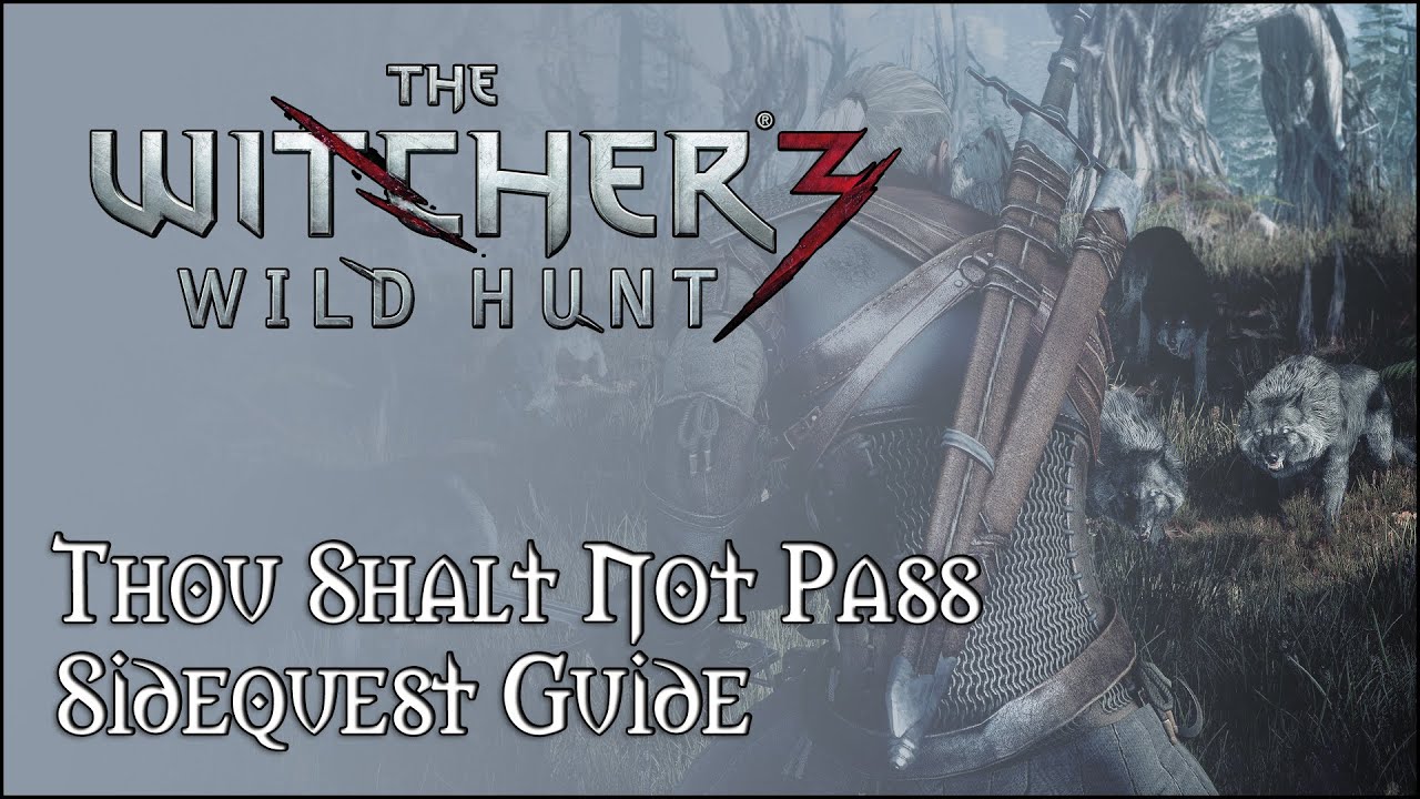 Thou Shalt Not Pass Witcher 3