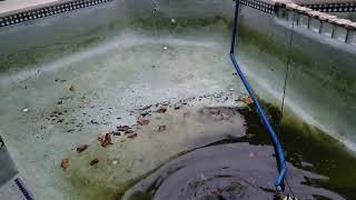 Submersible Pump 2 Rental from Home Depot to drain a dirty pool - Keep pump straight with string