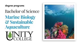 Marine Biology and Sustainable Aquaculture Program