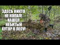 НАШЕЛ НЕБИТЫЙ ХУТОР В ЛЕСУ! Поиск золота с металлоискателем / Russian Digger