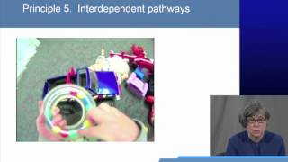 5 Cognitive Development