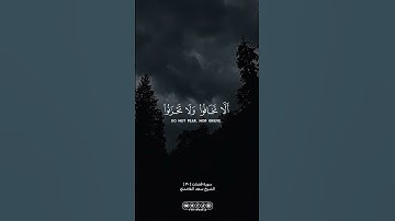 من سورة فصلت … الشيخ سعد الغامدي | #allah #الله #القران_الكريم #القرآن_الكريم #foryou #اكسبلور #fyp